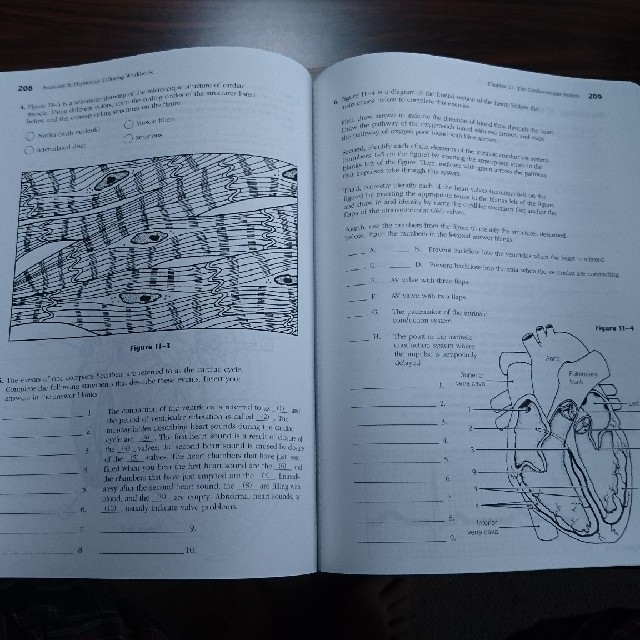 anatomy&physiology coloring workbook