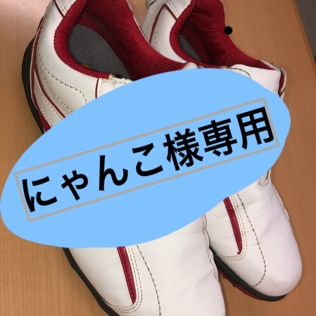 FootJoy(フットジョイ)のゴルフシューズ スポーツ/アウトドアのゴルフ(シューズ)の商品写真