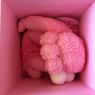 Kaws BFF PINK  plushy 限定3000体