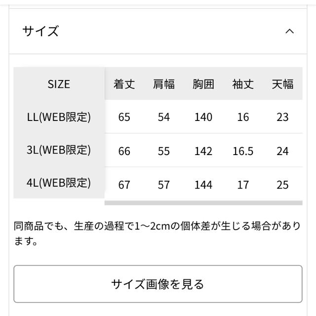 STUDIO CLIP(スタディオクリップ)のスタディオクリップ ウシロフハクキリカエプルオーバー 3L レディースのトップス(カットソー(半袖/袖なし))の商品写真