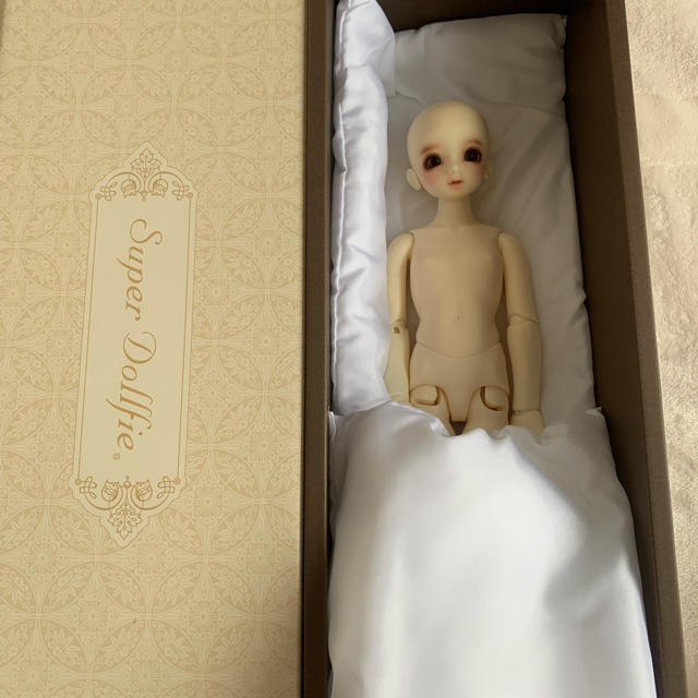 VOLKS - SDM F-29 スーパードルフィーの通販 by misabea1221's VOLKS - SDM F-29 スーパードルフィーの通販 by misabea1221's
