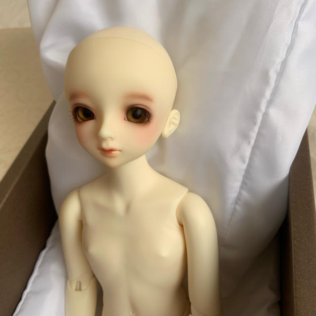 SDM F-29 スーパードルフィー-
