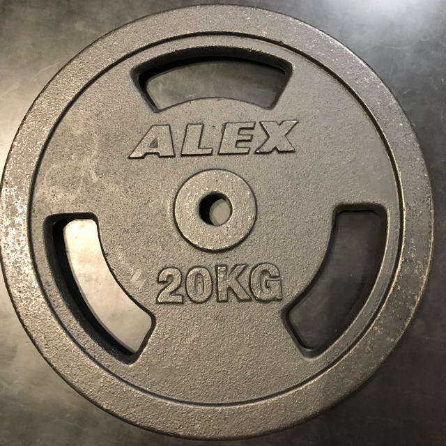 ALEX イージーグリップペイントプレート 20kg