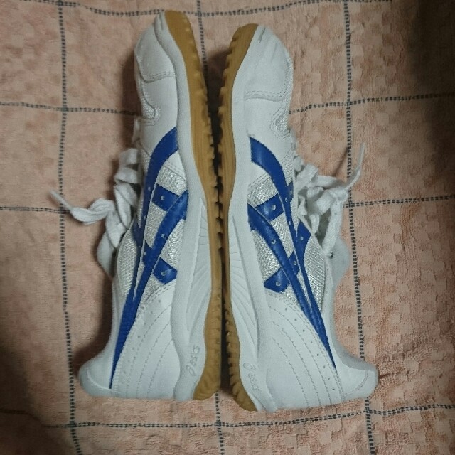 asics(アシックス)のアシックス スニーカー 体育館シューズ 23cm キッズ/ベビー/マタニティのキッズ靴/シューズ(15cm~)(スクールシューズ/上履き)の商品写真