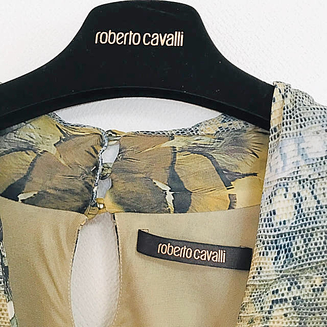 Roberto Cavalli(ロベルトカヴァリ)のロベルトカバリのワンピース‼️最終お値下げ レディースのワンピース(ひざ丈ワンピース)の商品写真