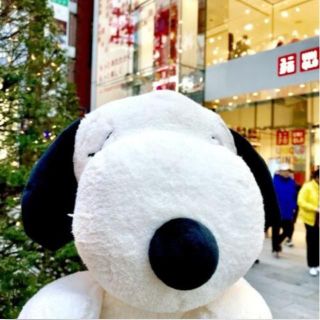 ユニクロ(UNIQLO)のKAWS × ユニクロ スヌーピー ぬいぐるみ 白 M 大きいサイズ  送料無料(ぬいぐるみ)