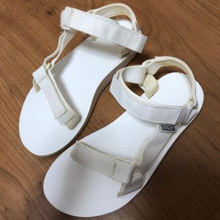 テバ(Teva)のTeva テバ サンダル ホワイト 白(サンダル)