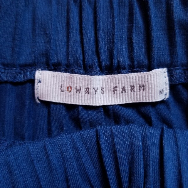 LOWRYS FARM(ローリーズファーム)の【送料無料】LOWRYSFARM プリーツ カットソー ブルー レディースのトップス(カットソー(長袖/七分))の商品写真