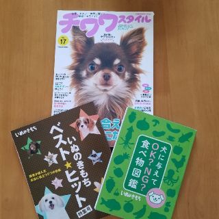 いぬのきもち　チワワスタイル(犬)