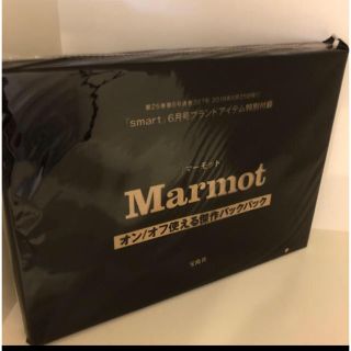 マーモット(MARMOT)のスマート マーモット ６月号 バックパック 新品未使用(バッグパック/リュック)