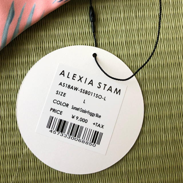 ALEXIA STAM(アリシアスタン)のALEXIASTAM ボトムス レディースの水着/浴衣(水着)の商品写真