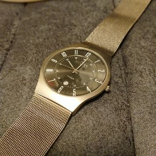 スカーゲン(SKAGEN)のスカーゲン 腕時計 メンズ 233XLTTM SKAGEN(腕時計(アナログ))