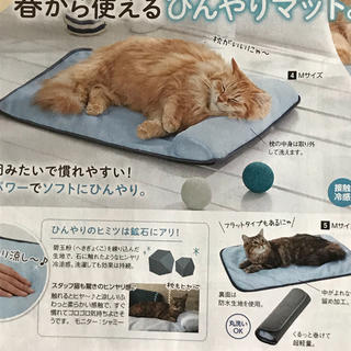 ペピィ オリジナルひんやりマットMサイズ(猫)