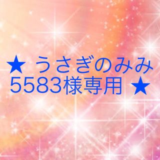 ワコール(Wacoal)のうさぎのみみ5583様専用(その他)