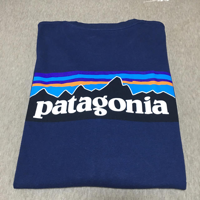 patagonia(パタゴニア)の【美品】パタゴニアPATAGONIA P-6 ロングスリーブ メンズL メンズのトップス(Tシャツ/カットソー(七分/長袖))の商品写真