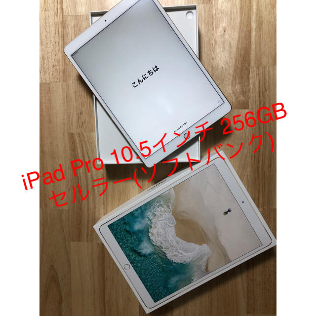 iPad Pro10.5 256GB セルラーモデル(sb)タブレット