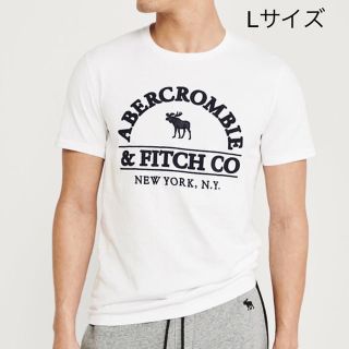 アバクロンビーアンドフィッチ(Abercrombie&Fitch)の最新作！★Abercrombie【L】大人気のメンズビッグロゴムース刺繍半袖T(Tシャツ/カットソー(半袖/袖なし))