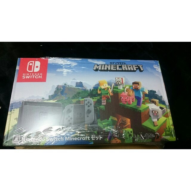 Nintendo switch Minecraft 同梱版
