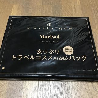 マルティニーク マリソル 6月号特別付録 トラベルコスメwithバッグ(ハンドバッグ)