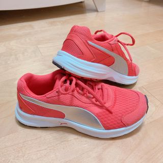 プーマ(PUMA)のプーマ スニーカー 23.5 ピンク オレンジ ランニング ジム スポーツ(スニーカー)