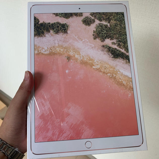 Apple ipadpro10.5  MPGL2JA