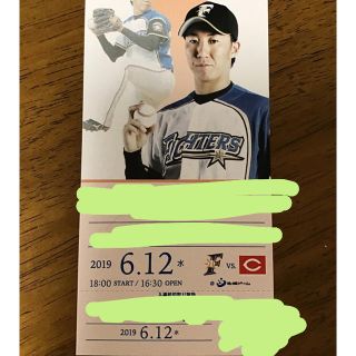 ホッカイドウニホンハムファイターズ(北海道日本ハムファイターズ)の6/12 日ハムVS広島カープ戦  三塁側チケット(野球)