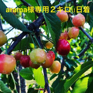 arama様専用(フルーツ)