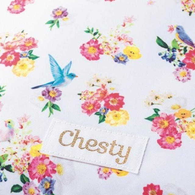 Chesty(チェスティ)の美人百花 【付録】 Chesty　マルチトラベルバッグ レディースのファッション小物(ポーチ)の商品写真