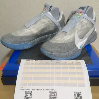 ナイキ(NIKE)のNIKE ADAPT BB WOLF GREY(AO2582-002)(スニーカー)