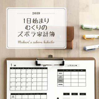 【通常版】むくりのズボラ家計簿2019(その他)