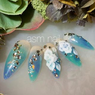 ネイルチップ ジェルネイル asmnail