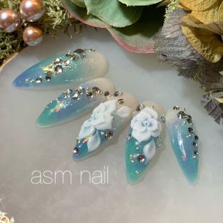 ネイルチップ ジェルネイル asmnail コスメ/美容のネイル(つけ爪/ネイルチップ)の商品写真