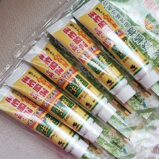 コバヤシセイヤク(小林製薬)の薬用　生葉　５本(歯磨き粉)