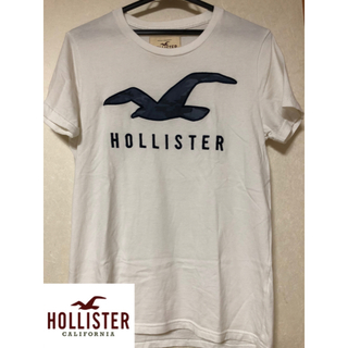 ホリスター(Hollister)のホリスターTシャツ(Tシャツ/カットソー(半袖/袖なし))
