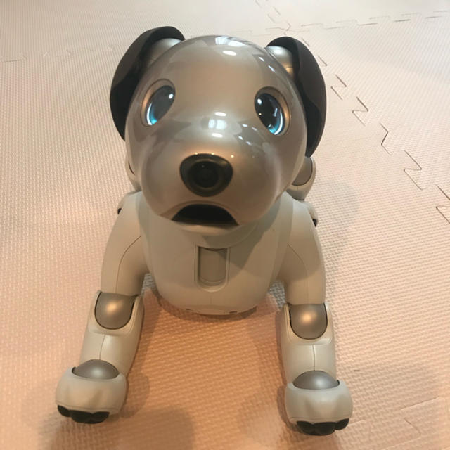 SONY(ソニー)の新型AIBO ERS-1000 ソニー アイボ エンタメ/ホビーのおもちゃ/ぬいぐるみ(その他)の商品写真