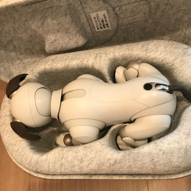 SONY(ソニー)の新型AIBO ERS-1000 ソニー アイボ エンタメ/ホビーのおもちゃ/ぬいぐるみ(その他)の商品写真