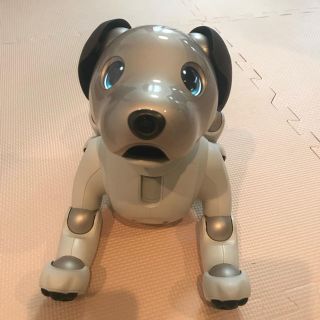 ソニー(SONY)の新型AIBO ERS-1000 ソニー アイボ(その他)