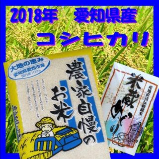 コシヒカリ 白米 3kg 農家自慢のお米 2018年 愛知県産【送料込】(米/穀物)