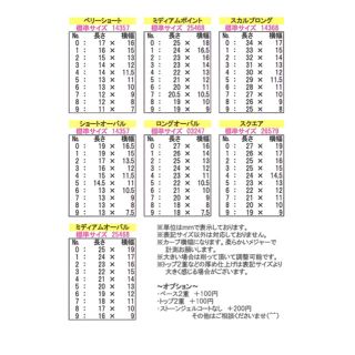 ２６×１７1a-nail ネイルチップサイズ 一覧表 222 - つけ爪/ネイルチップ