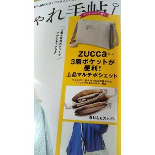 ズッカ(ZUCCa)の大人のおしゃれ手帖　付録　上品マルチポシェット(ショルダーバッグ)