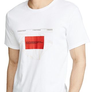 カルバンクライン(Calvin Klein)のCalvin Klehn Tシャツ (Tシャツ/カットソー(半袖/袖なし))