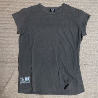 ディーアンドジー(D&G)のD&G ドルチェ&ガッバーナ　Tシャツ　カットソー　M グレー(Tシャツ/カットソー(半袖/袖なし))