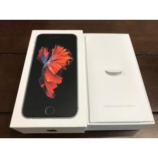 アップル(Apple)のiPhone 6s 64GB スペースグレイ 空き箱(その他)