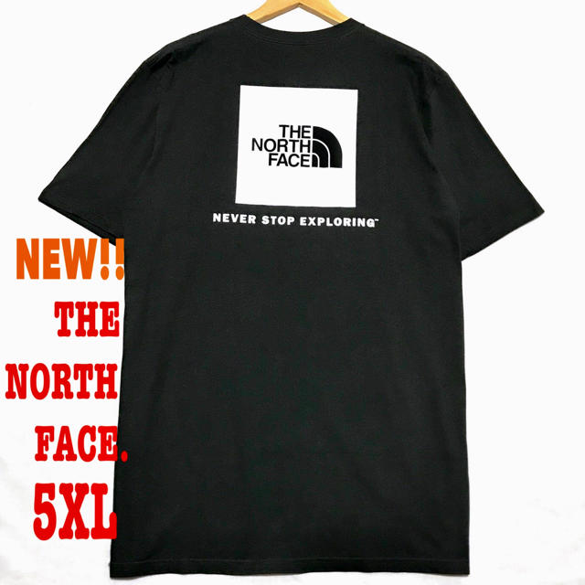 Tシャツ/カットソー(半袖/袖なし)ビッグ！ 5XL相当 新品 ノースフェイス BOXロゴ Tシャツ 黒白 メンズ
