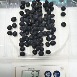 2セット　平成30年産　丹波黒大豆　約70〜80粒　40g　ぶどう豆　丹波の黒豆(米/穀物)