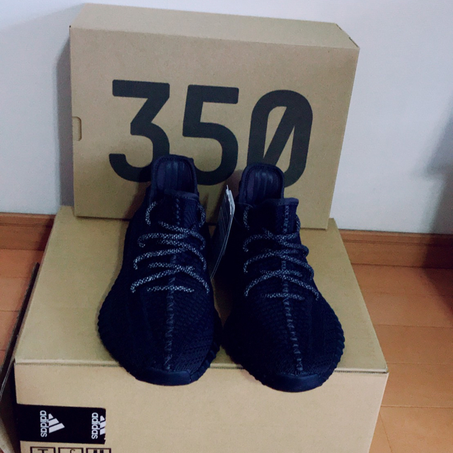 25cm　adidas YEEZY BOOST 350 V2