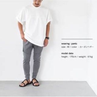 ナイキ(NIKE)のNIKE TECH FLEECE JOGGER PANTS(パーカー)