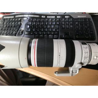 EF100-400mm F4.5-5.6L IS II USM (レンズ(ズーム))