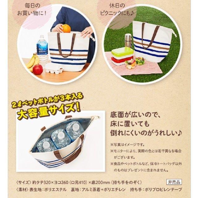 DHC(ディーエイチシー)のDHC 保冷 トート バッグ 新品送料込 レディースのバッグ(エコバッグ)の商品写真