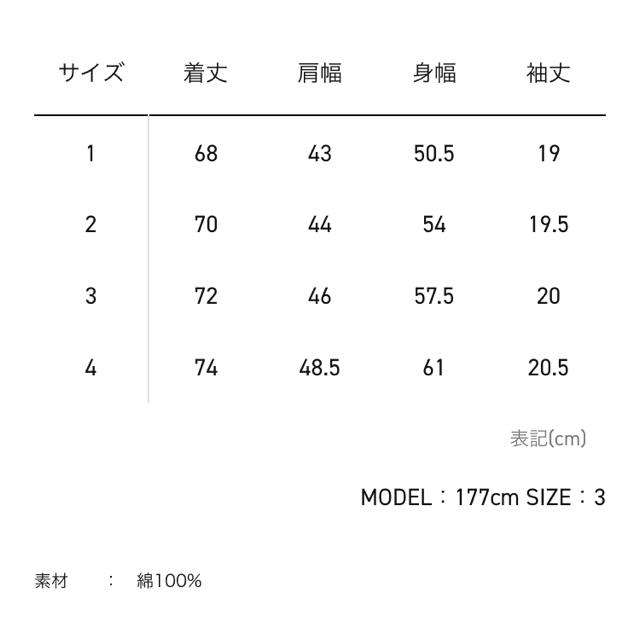 N.HOOLYWOOD(エヌハリウッド)のN.HOOLYWOOD メンズのトップス(Tシャツ/カットソー(半袖/袖なし))の商品写真